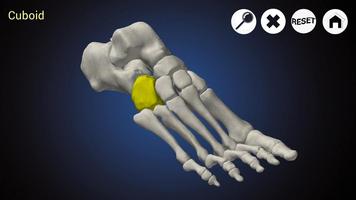 Podiatry 3D (Free) poster