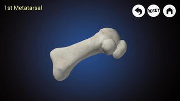 Podiatry 3D (Free) screenshot 1