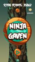 Ninja Gaven Affiche