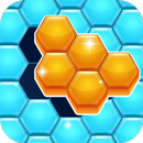 Hexa Block Puzzle APK