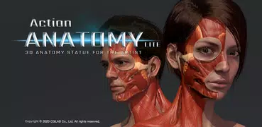 Action Anatomy - 3D anatomy po
