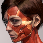 Azione Anatomia Lite icon