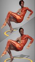 Lekka anatomia akcji capture d'écran 2