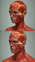 行動解剖精簡版 - 藝術家的3D解剖姿態應用 截圖 1