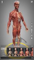 برنامه‌نما Action Anatomy - 3D anatomy po عکس از صفحه