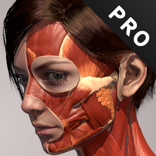 Action Anatomy Pro