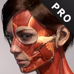 download Anatomia Pro XAPK