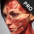Giải phẫu hành động Pro