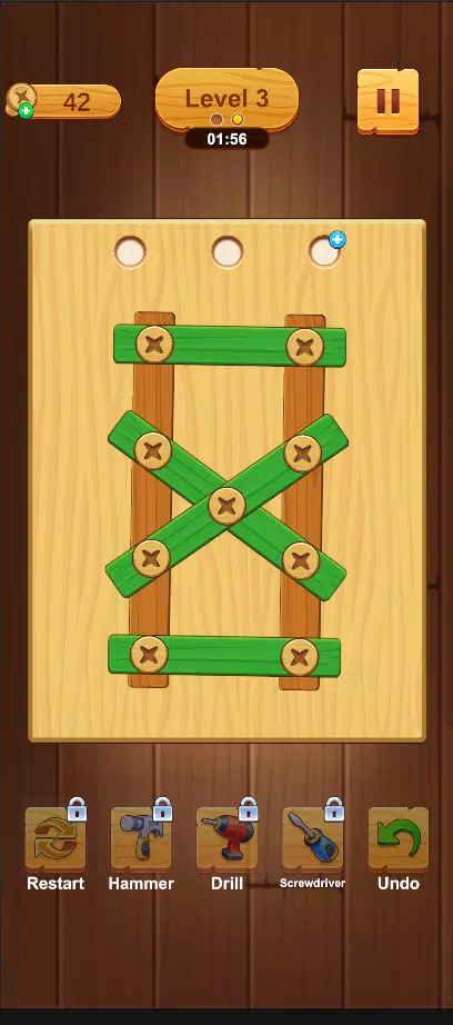 Wood Screw Puzzle