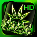 Maconha Papel de Parede