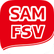 SAM FSV icon