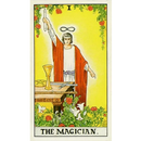 Divination for the Future APK