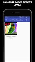 Kicauan Master Lovebird MP3 স্ক্রিনশট 3