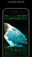Masteran suara burung Lovebird MP3 Plakat