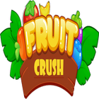 Fruits Crush! icône
