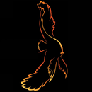 Aquatic Evolution LLC APK