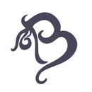 Banda Bags APK