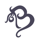 Banda Bags icon