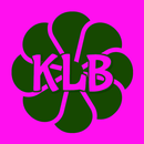 Katy Lynn Boutique Fort Dodge APK