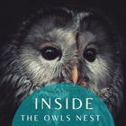 Inside the Owls Nest ícone