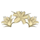 Lilies N Grace Boutique APK