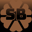 Southern Boutique APK