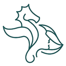 Seaside Quilting Supplies LLC APK