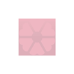 PINK DANDELION BOUTIQUE icon