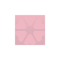PINK DANDELION BOUTIQUE