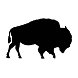 RUSTIC BUFFALO simgesi