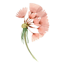 Wish Flower Boutique APK