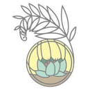 Wild Fern Boutique APK