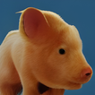 ”Chimera App