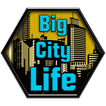 ”Big City Life : Simulator