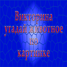 Викторина: угадай животное по  biểu tượng