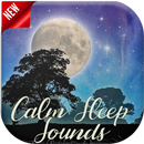 APK Calm Sleep Sounds