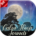 Calm Sleep Sounds icône