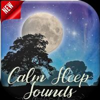 Calm Sleep Sounds पोस्टर