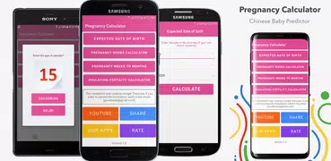 Pregnancy Calculator