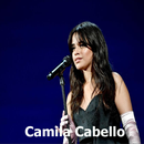 (Liar - Camila Cabello+Señorita), Fantasias(Remix) APK