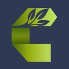 Cassana icon