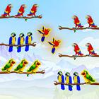 Bird Sort- Color Puzzle Games أيقونة