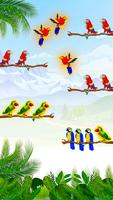 Bird Sort- Color Puzzle Games Affiche