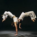 Terminer Capoeira Techniques Mouvement Martial APK
