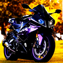 Sports Bikes Wallpapers 4K APK