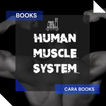 ikon human muscle anatomy