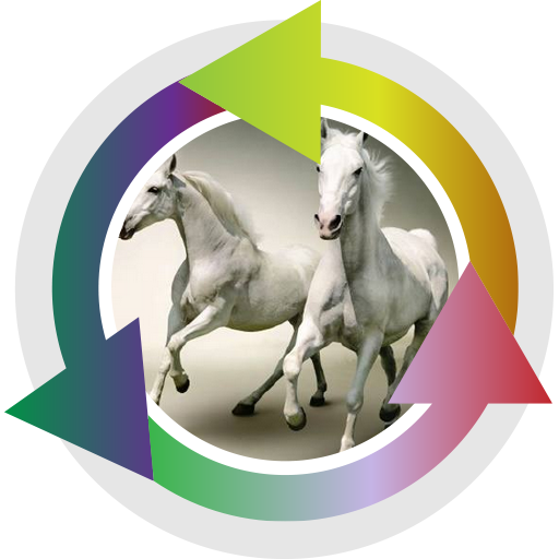 Prendersi cura dei cavalli