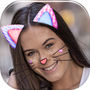 وجه القطة مرشحات الكاميرا APK