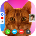 Fakе Vidеo Call Cat- Prank&Fun