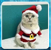 고양이 옷 스크린샷 1